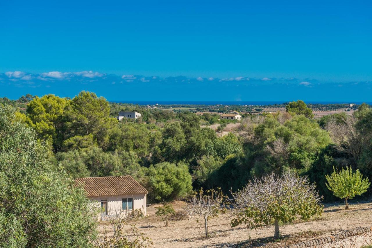 Finca Son Colom 马纳科尔 外观 照片